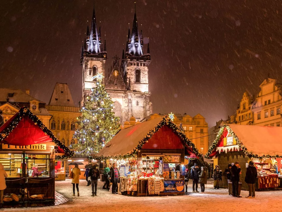 travel program image