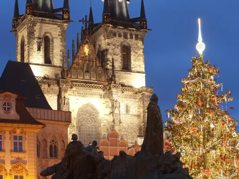 travel program image