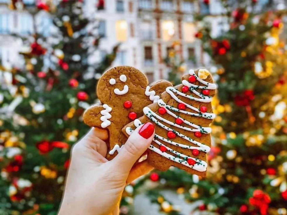 travel program image