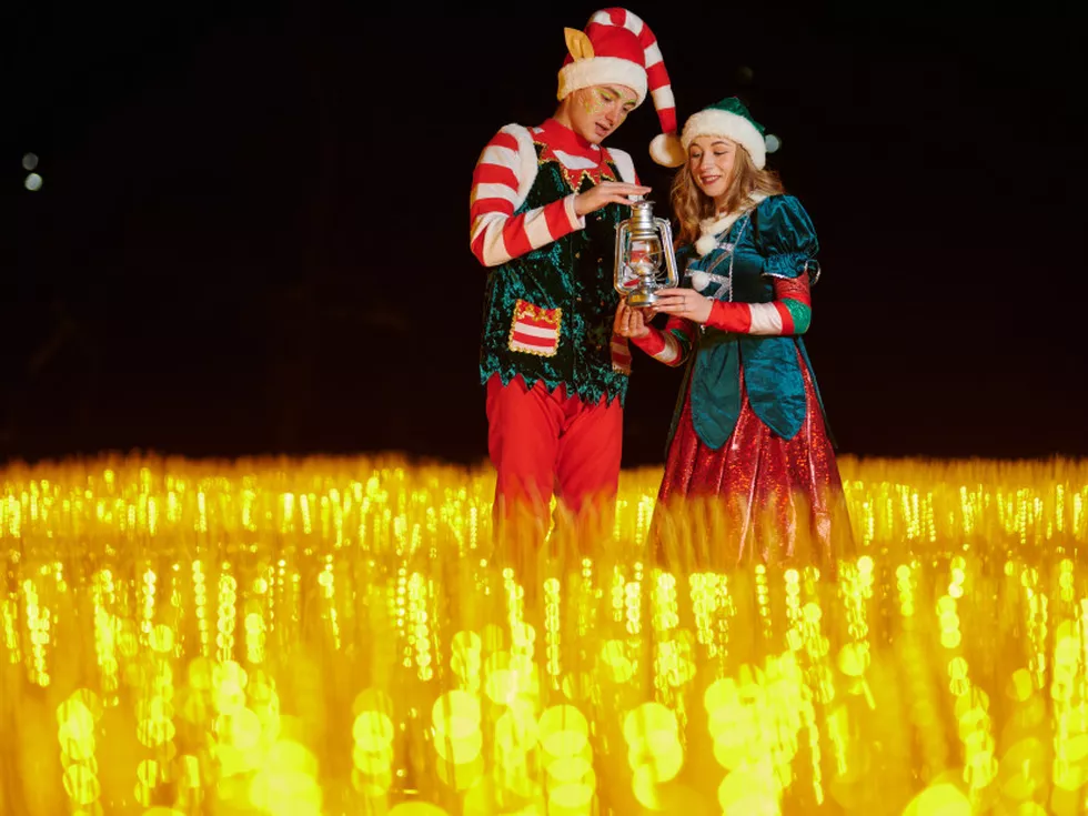 travel program image