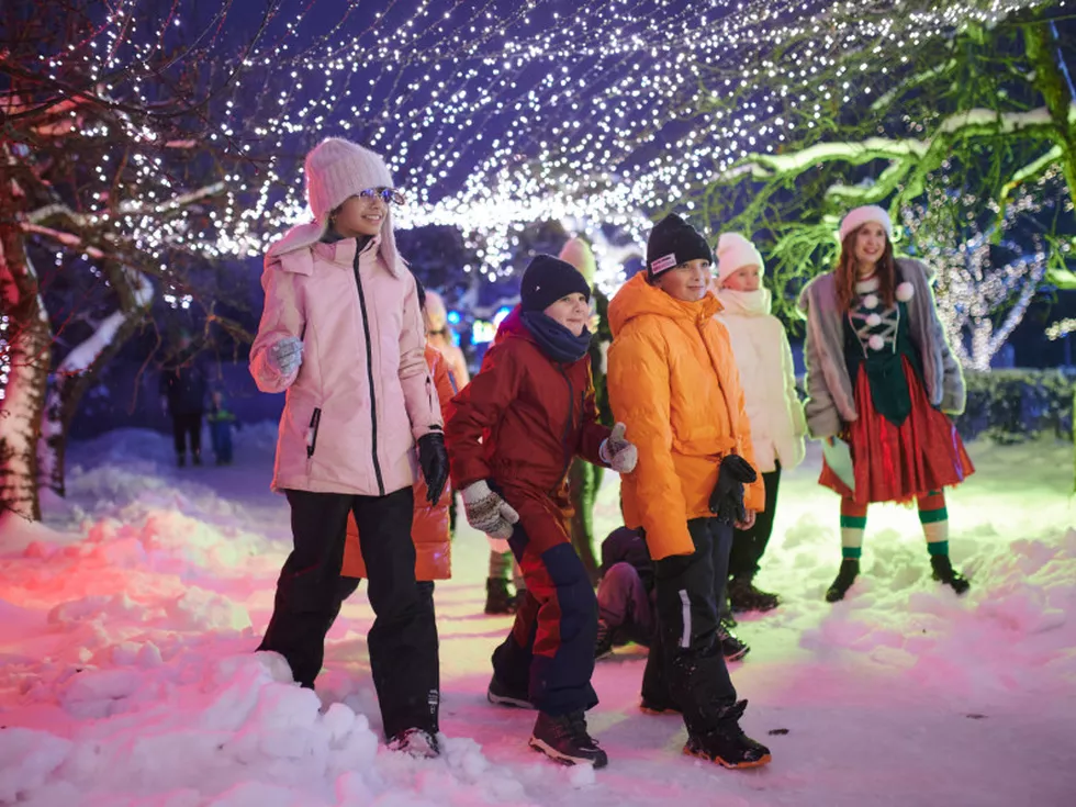 travel program image