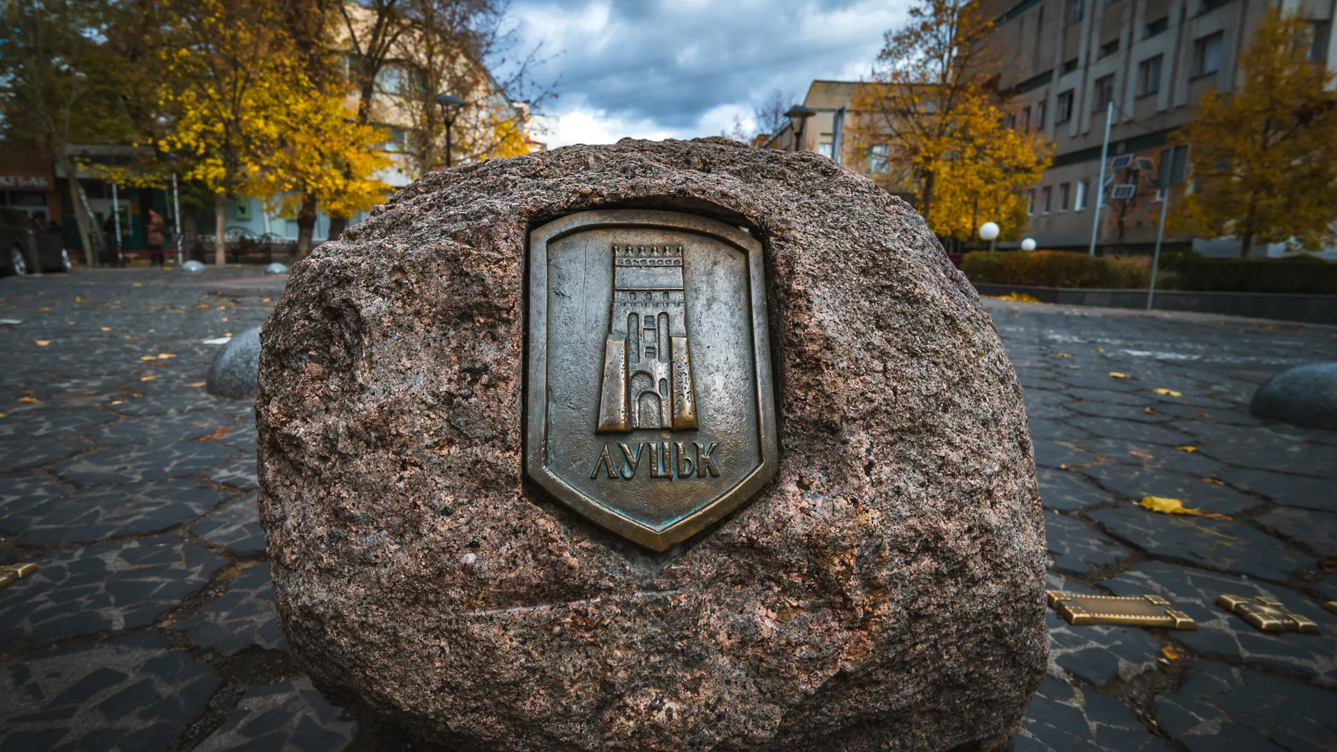 trip inroduction image