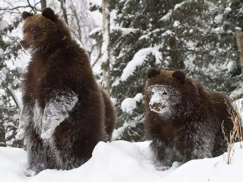 travel program image