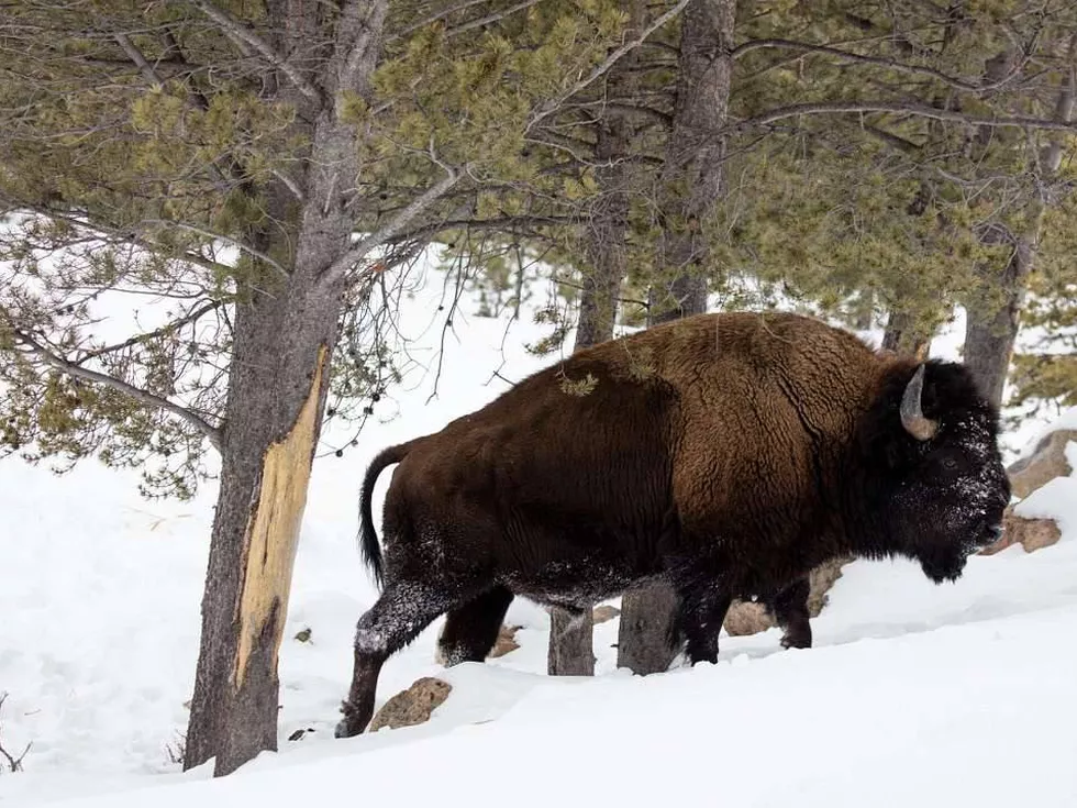 travel program image