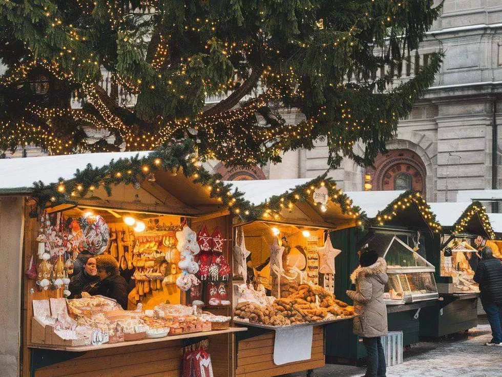 travel program image