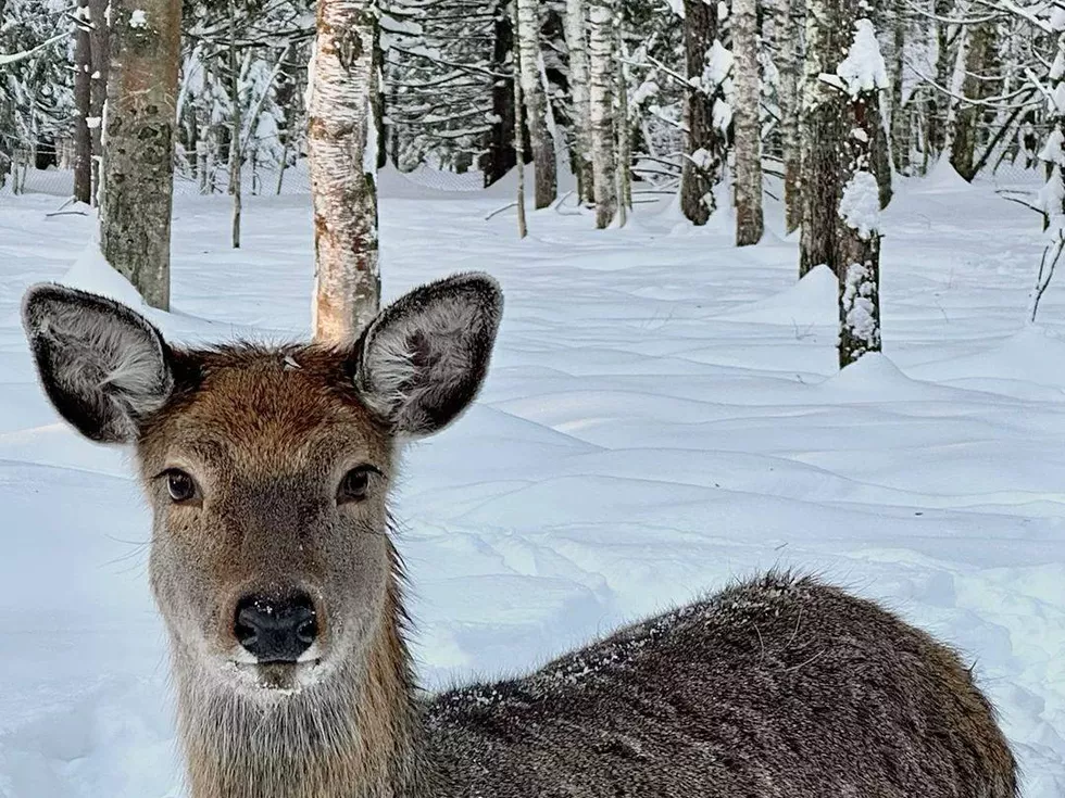 travel program image