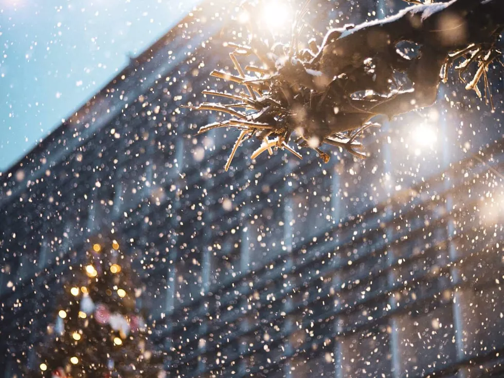 travel program image