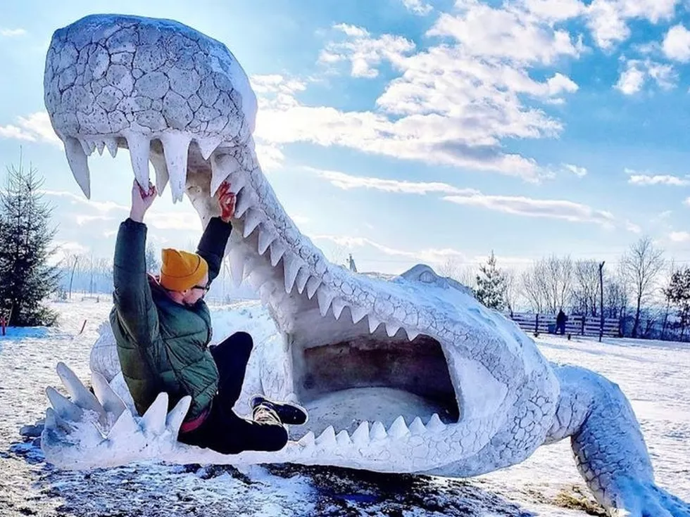 travel program image