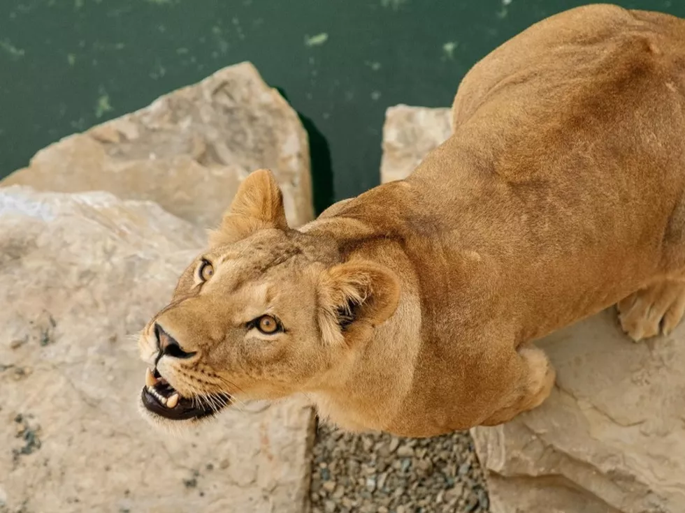 travel program image