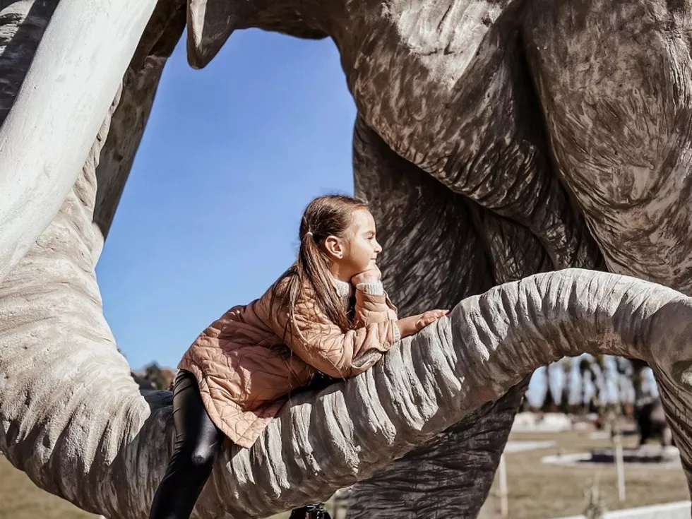 travel program image