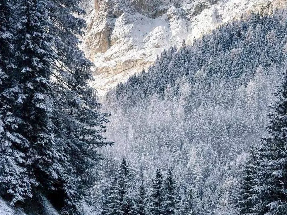 travel program image