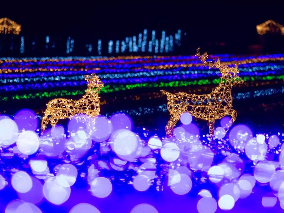 travel program image