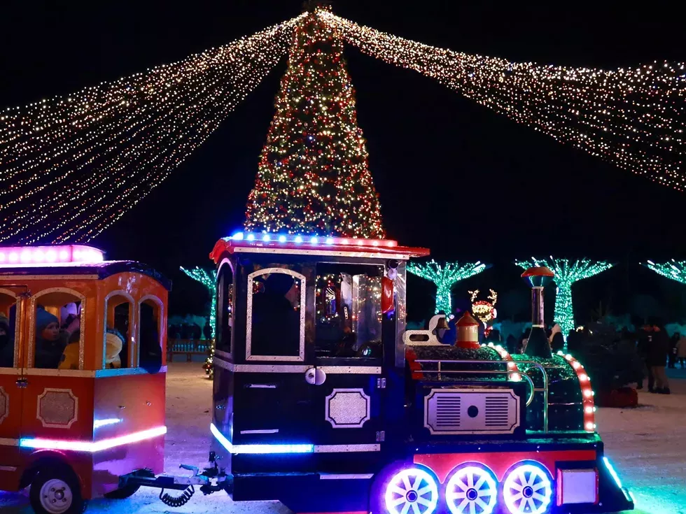 travel program image