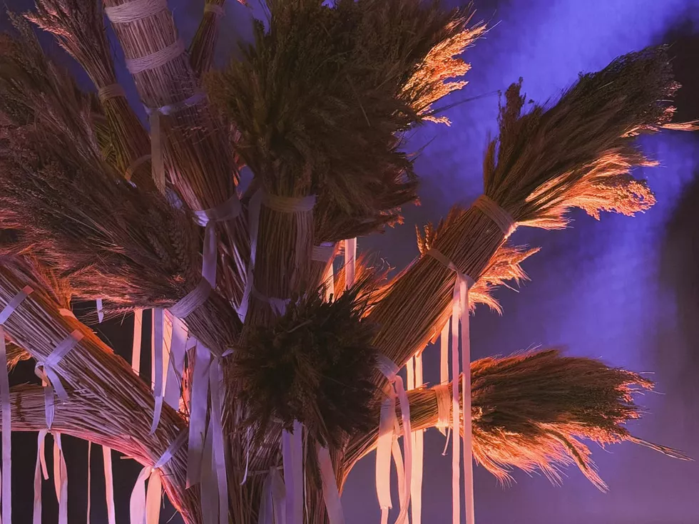 travel program image