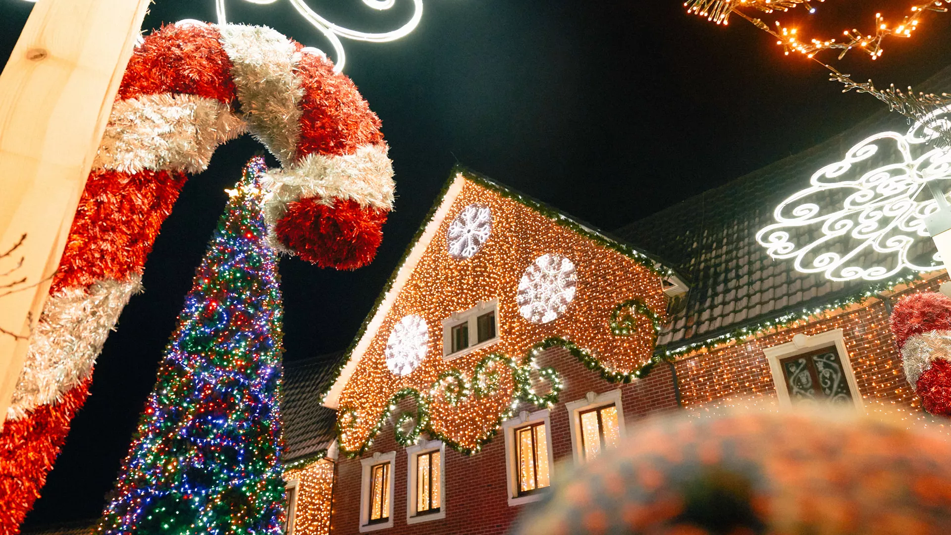 trip inroduction image