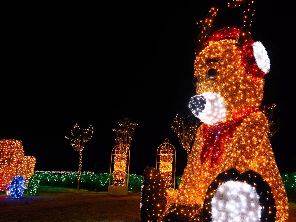 travel program image