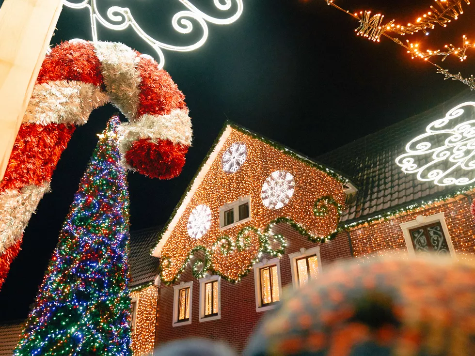 travel program image