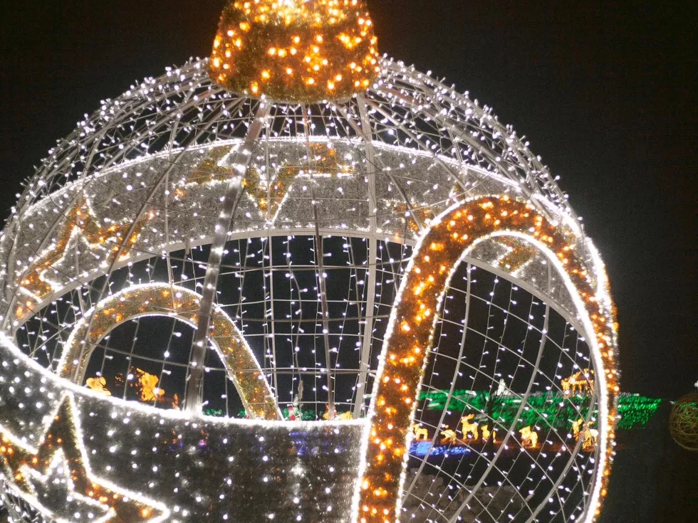 travel program image