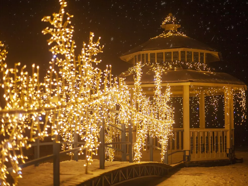 travel program image