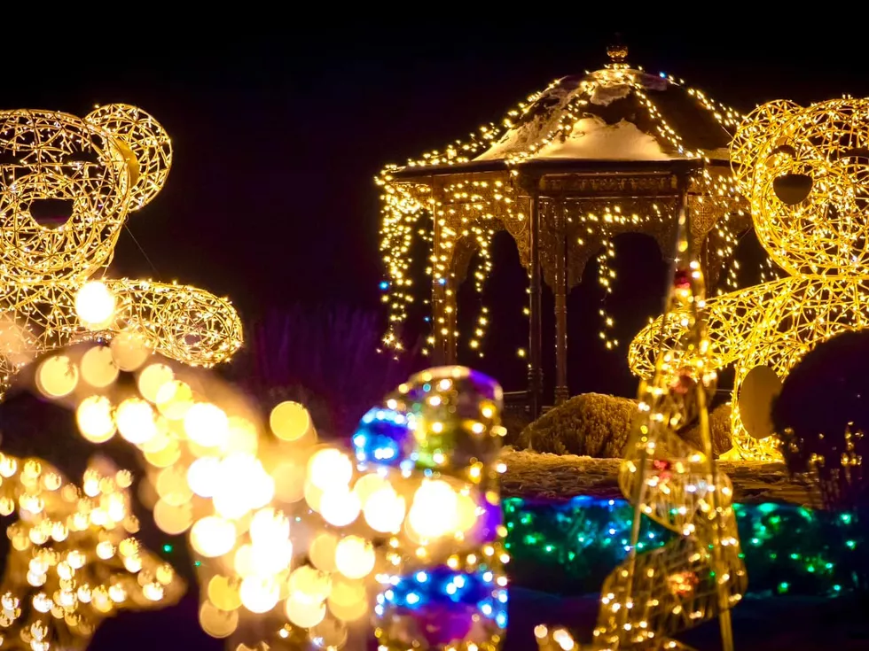 travel program image