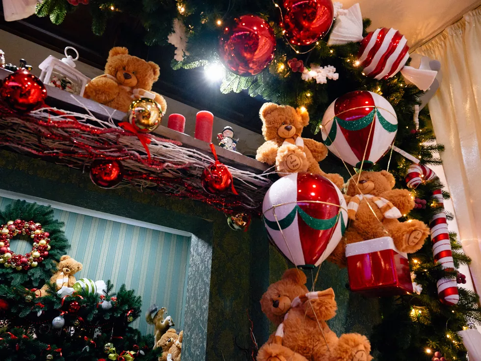 travel program image