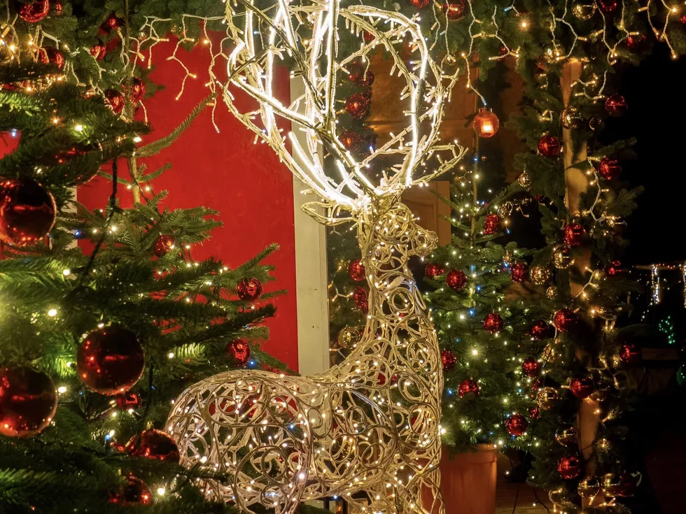 travel program image