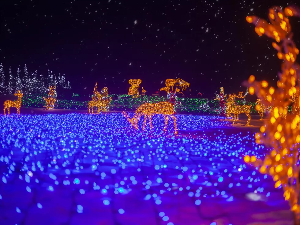 travel program image