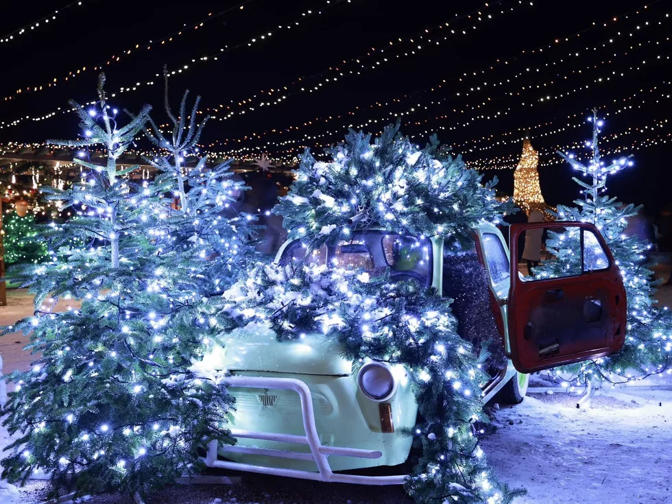 travel program image