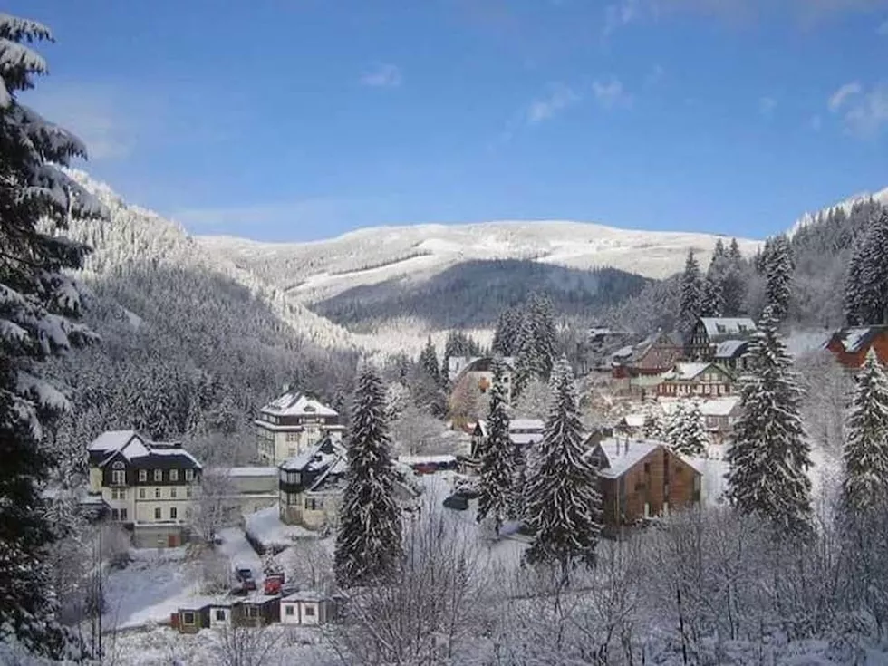 travel program image