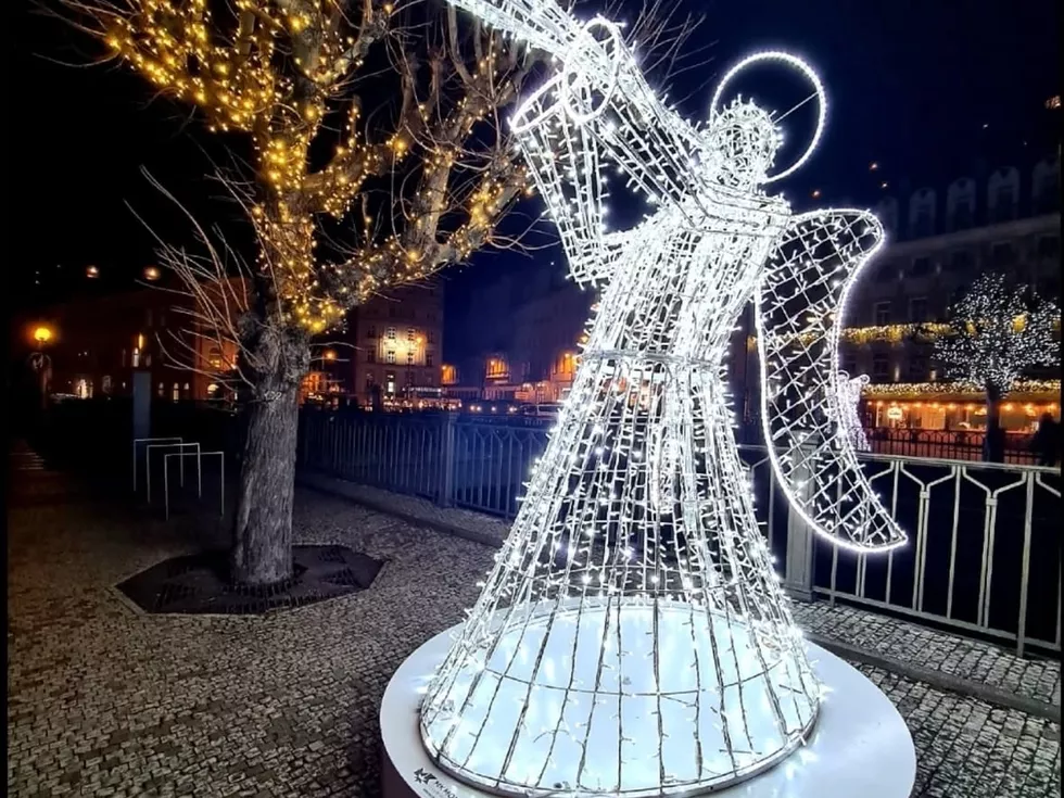 travel program image