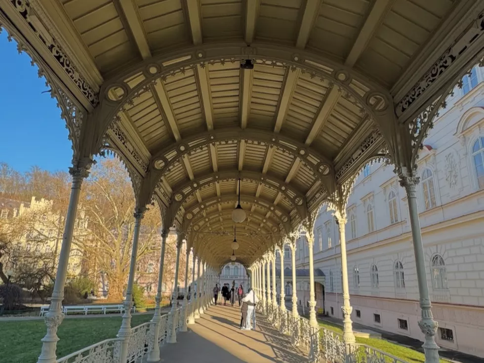 travel program image