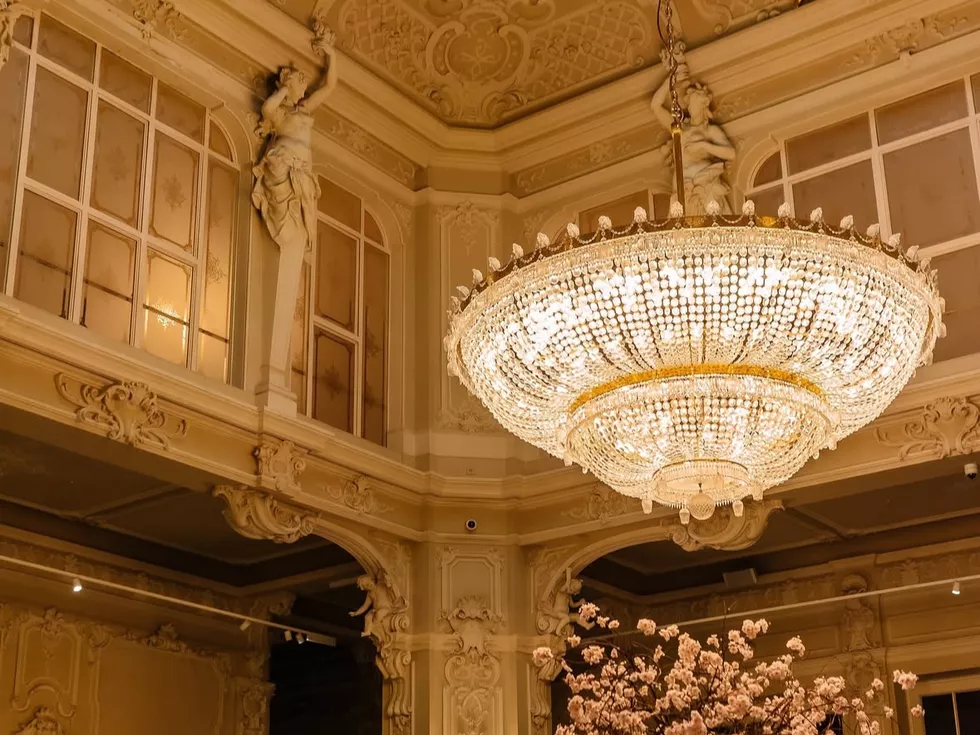 travel program image