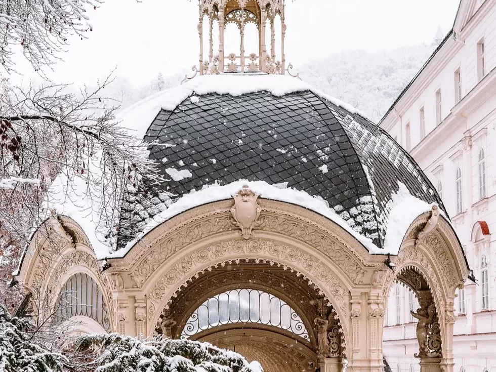 travel program image