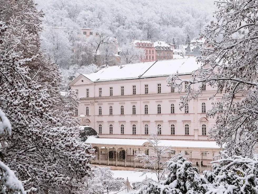 travel program image