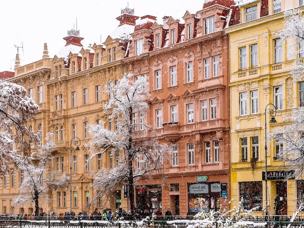 travel program image