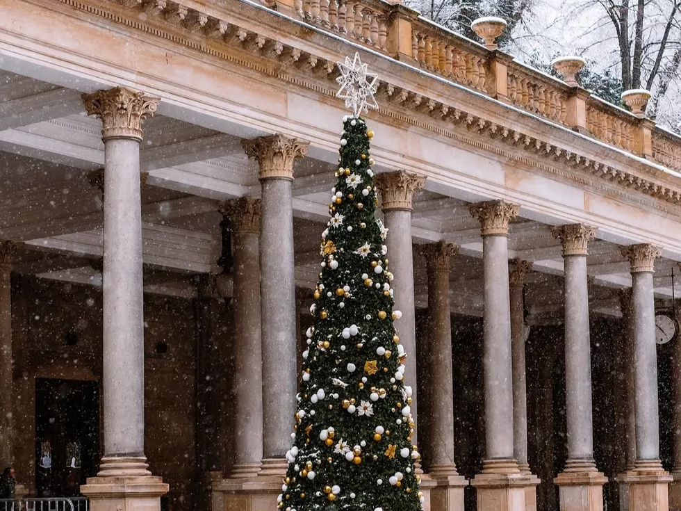 travel program image