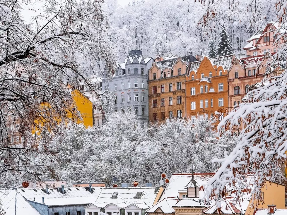 travel program image