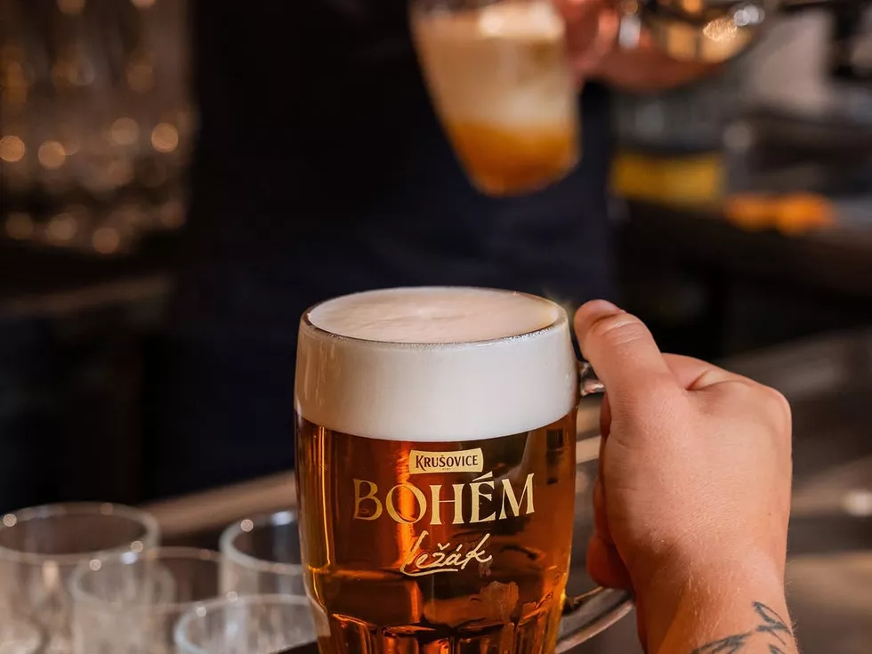 travel program image