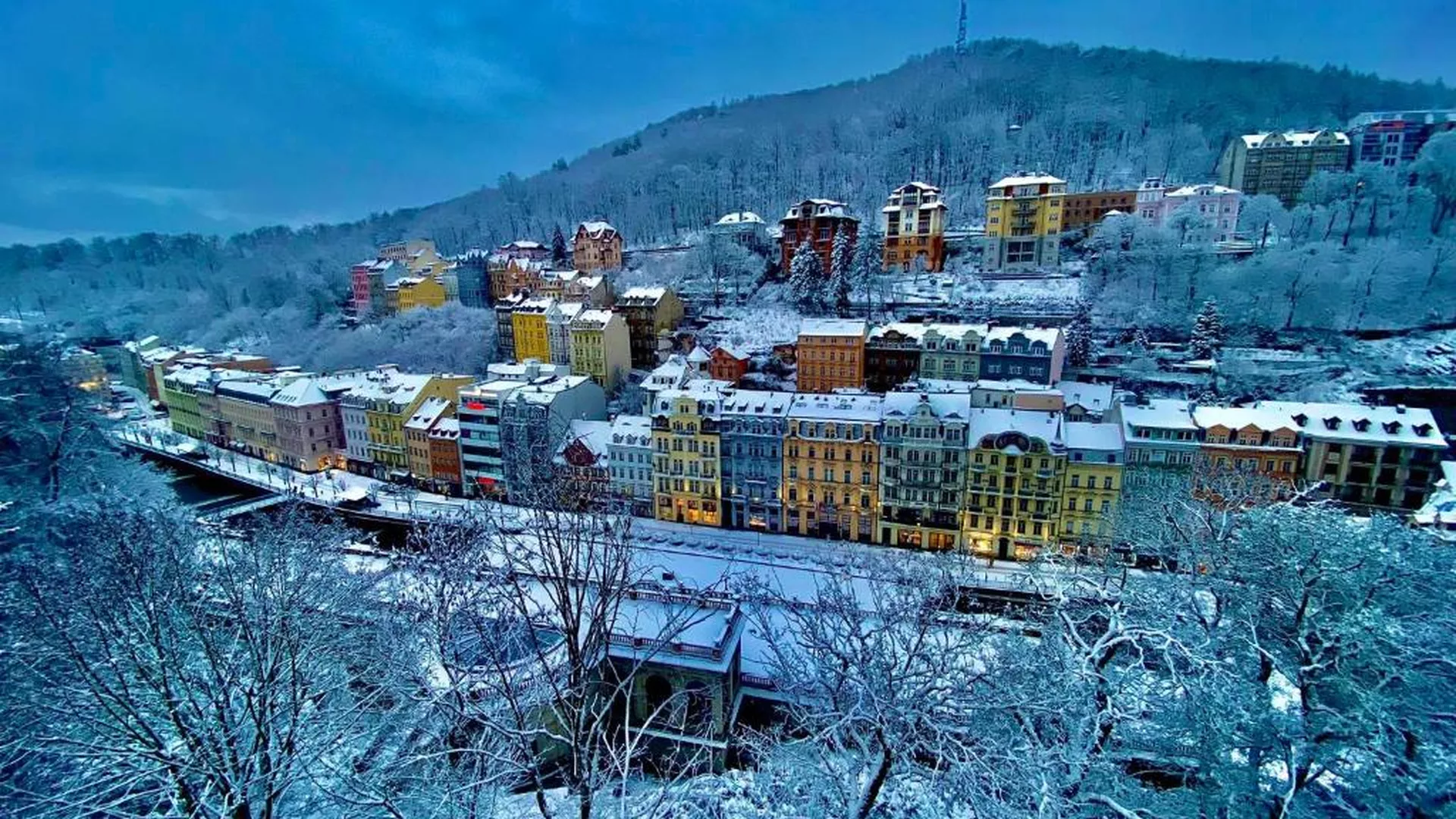 trip inroduction image