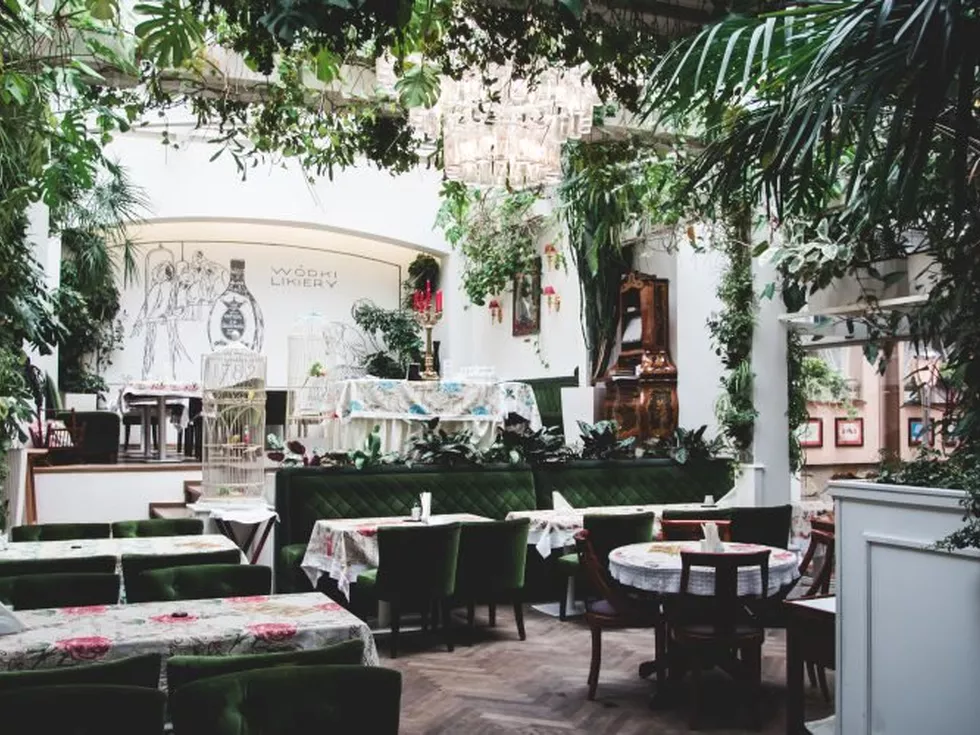 travel program image