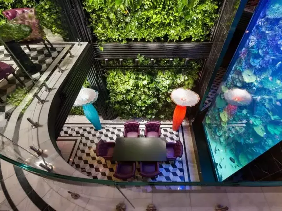 travel program image