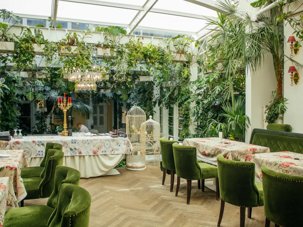 travel program image