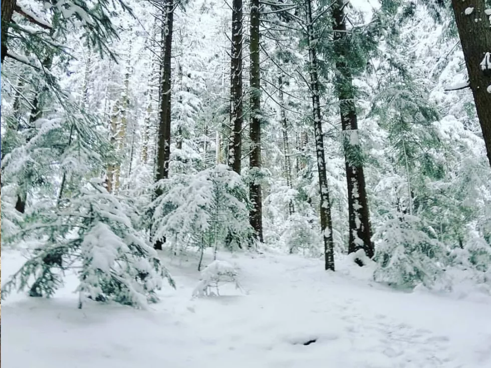 travel program image