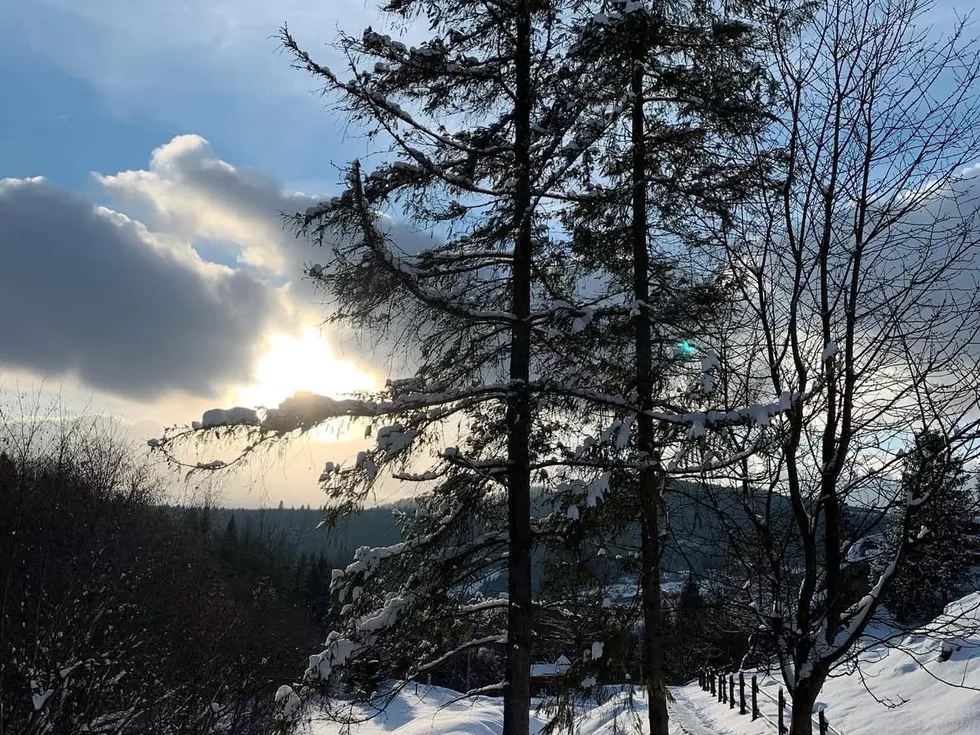 travel program image