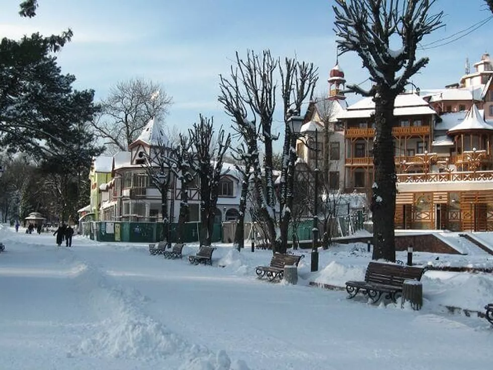 travel program image