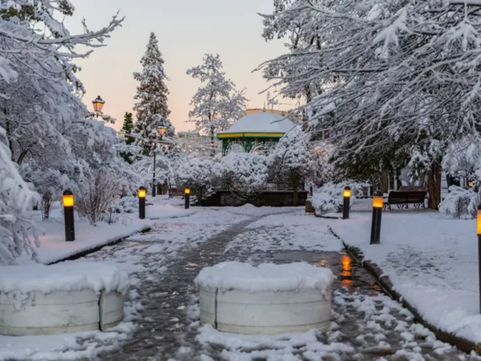 travel program image