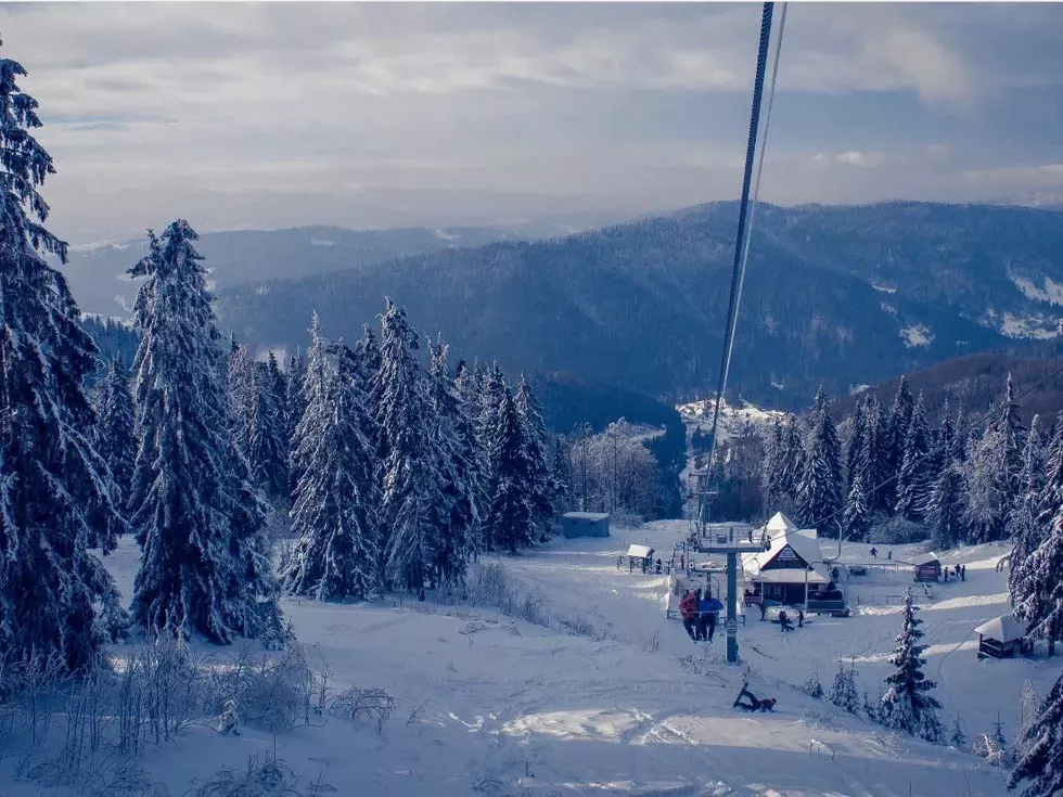 travel program image