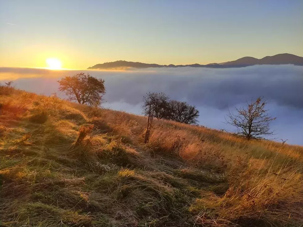 travel program image