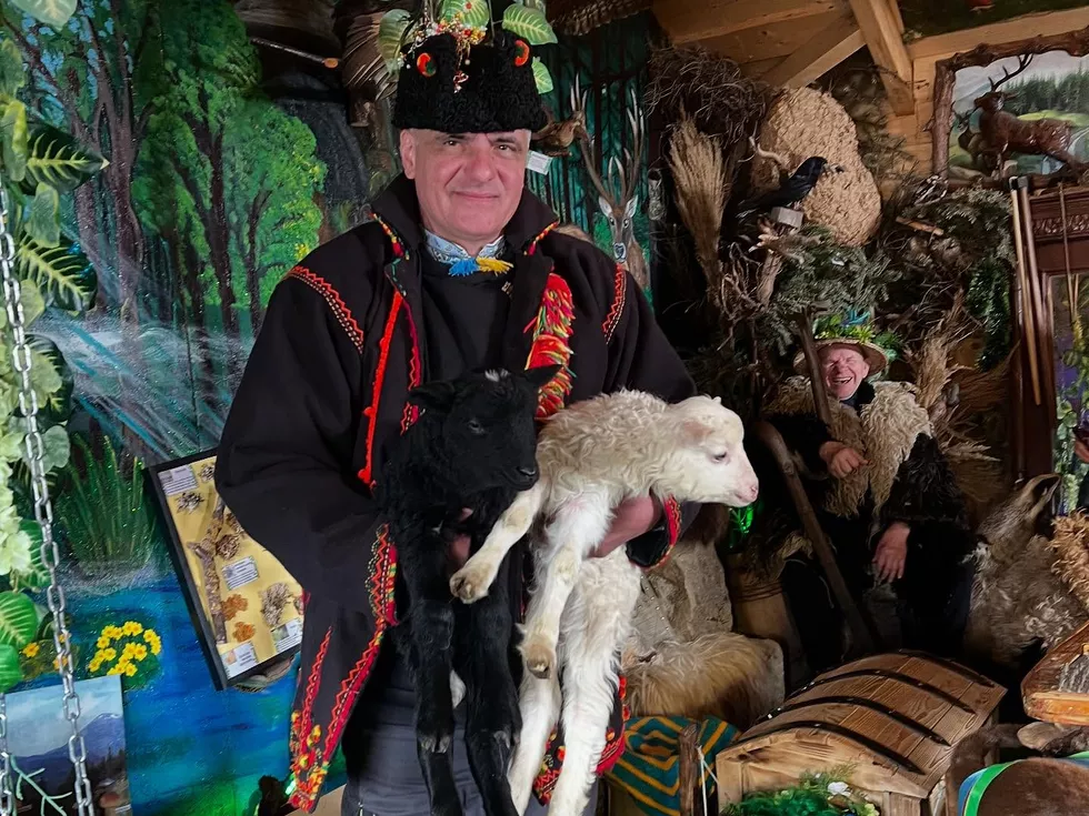 travel program image