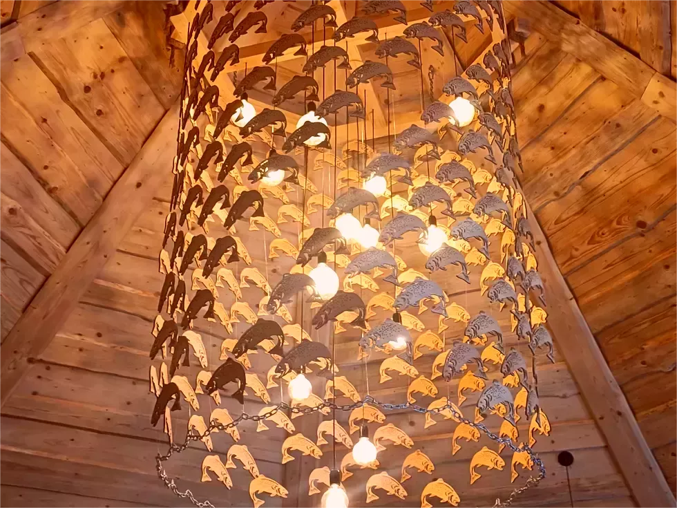 travel program image